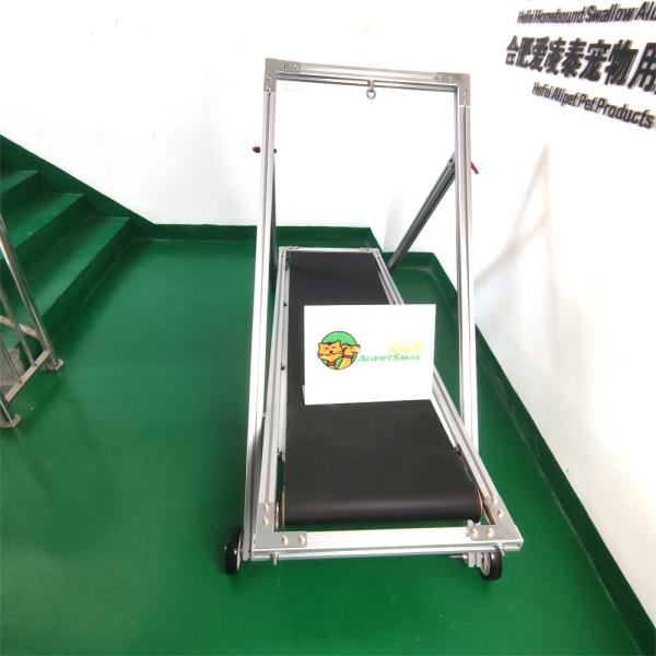 Customized Big Dog Treadmill for Pit Bulls Durable and Sustainable Training Solution