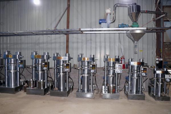 Máquina fria da imprensa do óleo de semente de Neem materiais hidráulicos da liga de 270 milímetros 60Mpa