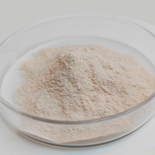 Poudre blanche grise comme protéase pancréatine 4000u/G Préparation enzymatique
