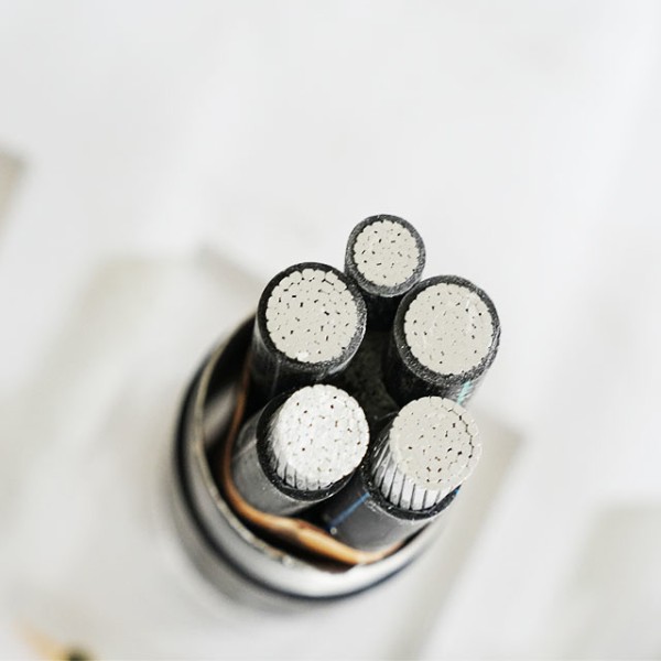 Aluminum Alloy Conductor Power Cable 0.6/1kV Multi Core Electrical Distribution Cable