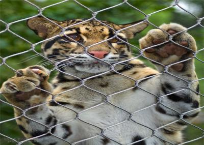 cerco atado 7x7 do animal da malha do jardim zoológico da corda de fio dos SS