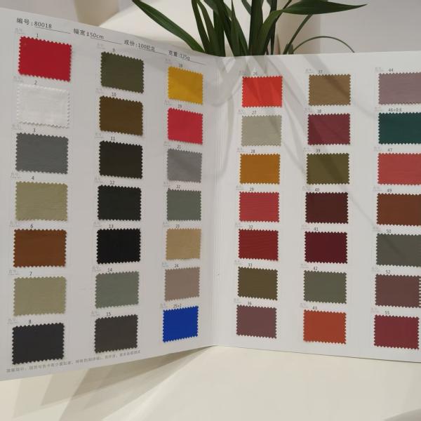 Lightweight Elastic Fabric 100% Nylon Outdoor Apparel Fabric 125GSM