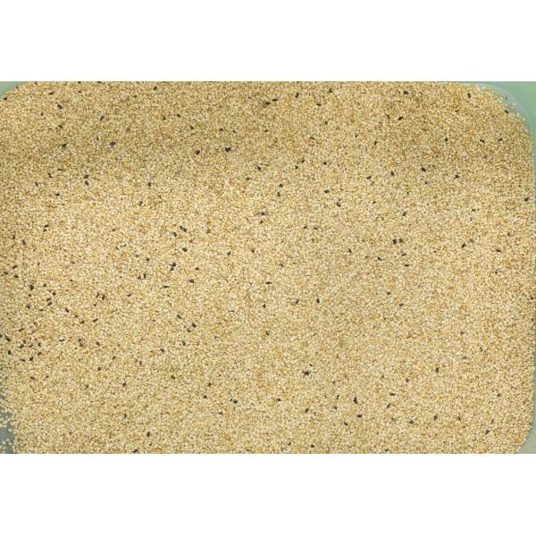 1T/H Grain Color Sorting Machine Rice Selection Automatic Computing