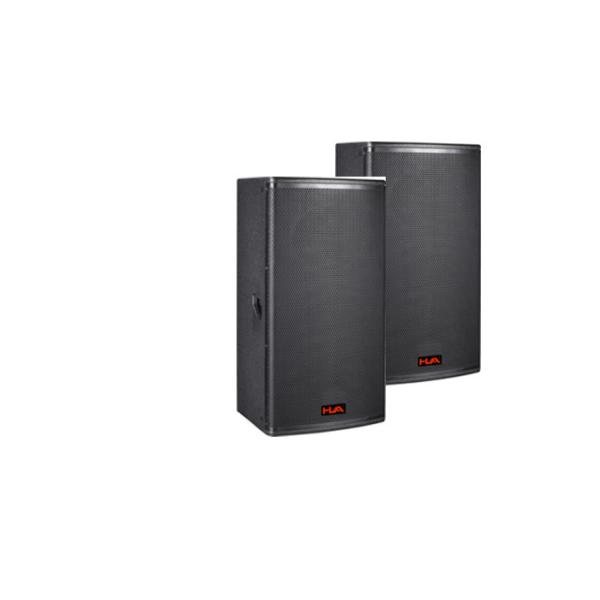 Martin Style 12 inch Concert Sound System Speaker With 500W in Live Perfomance