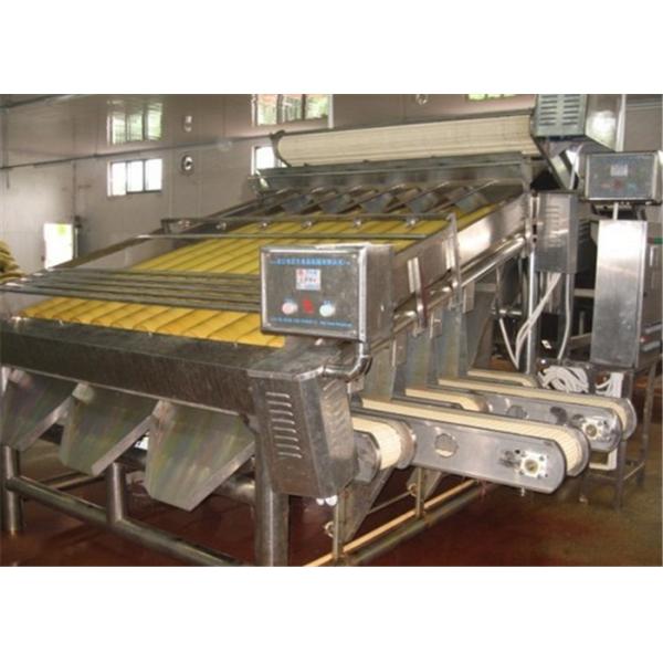 304 Stainless Steel Shrimp Processing Equipment , Shrimp Sorting Machine High Strength
