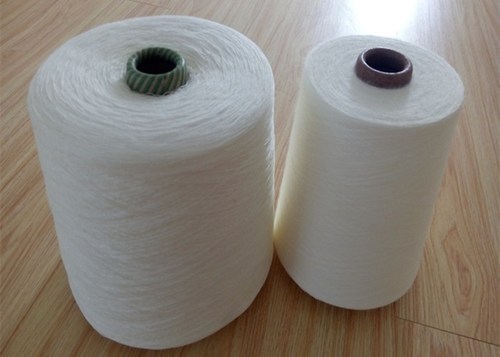 Raw White 33S /3 Acrylic Knitting Yarn , High Tenacity Ring Spun Acrylic Solid Yarn