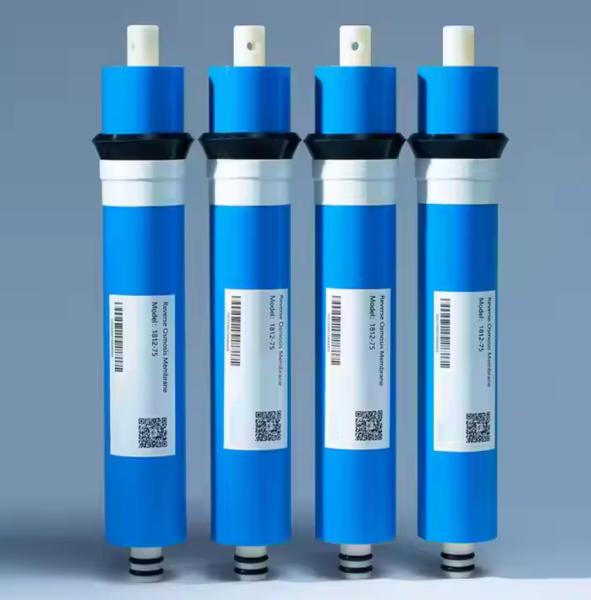 Customized Residential RO Membrane Water Purifier Membrane For Reverse Osmosis System Filter
