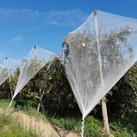 Protective Sleeve Anti Hail Net For Apple Tree Anti Hail Guard Net