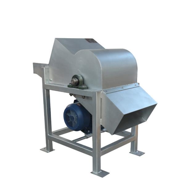 Triturador de Gelo 100kg/Min Hotel Garagem Comercial
