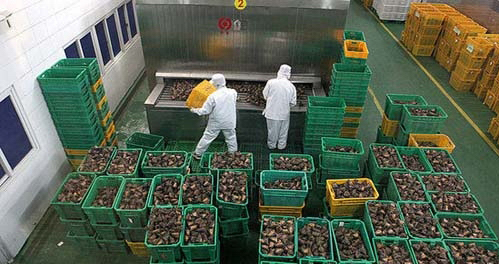 505*370*210 мм пластиковая коробка для хранения овощей и фруктов