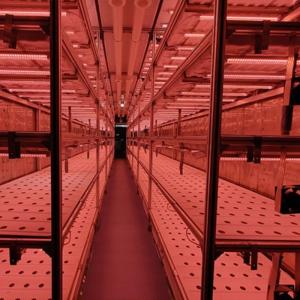 Juxiang OEM sistema de cultivo hidropônico de vegetais vivos com estufa de