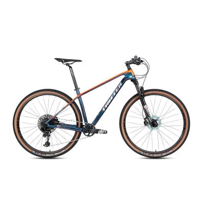 Suspensão da forquilha do freio de disco MTB da velocidade de MAX Carbon Fiber Montain Bike SRAM SX 12 da parte alta T900