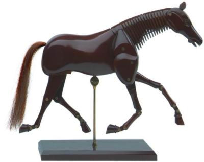 Manequim de madeira do artista dos animais para tirar a cor personalizada disponível