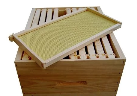 Folie de fondation en plastique vert en cire d'abeille en vrac pour apiculteurs