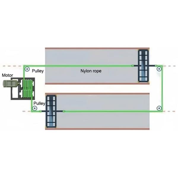Sistema automático de limpieza de estiércol de pollo de la casa de aves de corral alimentación en jaula