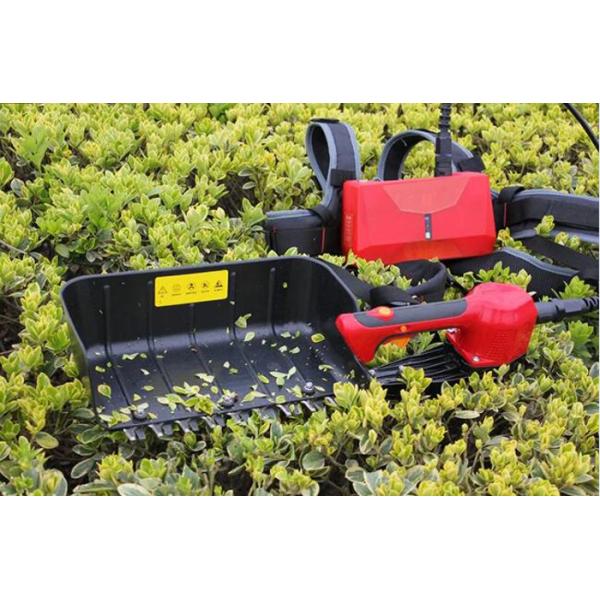 Прямая жатка лист чая лезвия металла подвергает одиночный комплектуя общипывать механической обработке чая батареи