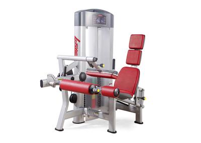Equipamento do exercício da aptidão da vida/máquina assentada da onda de pé para o Gym comercial