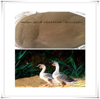 0.5% Molybdenum Amino Acid Chelated Organic Feed For Poultry