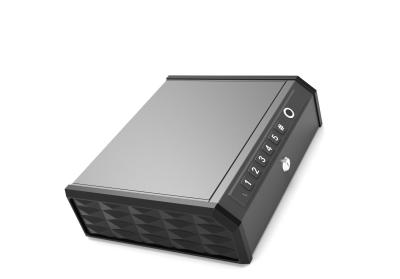 Anti-theft Function Safe Box for 2 Hand Guns Biometric Fingerprint and Electronic Lock