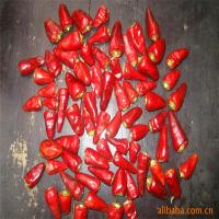 Chilli de bala vermelho escuro, seco ao ar (20 000-30 000 SHU)