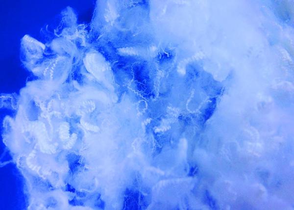 Bicomponent Low Melt Polyester Staple Fiber 2D-65D With 25MM-102MM Cut Length