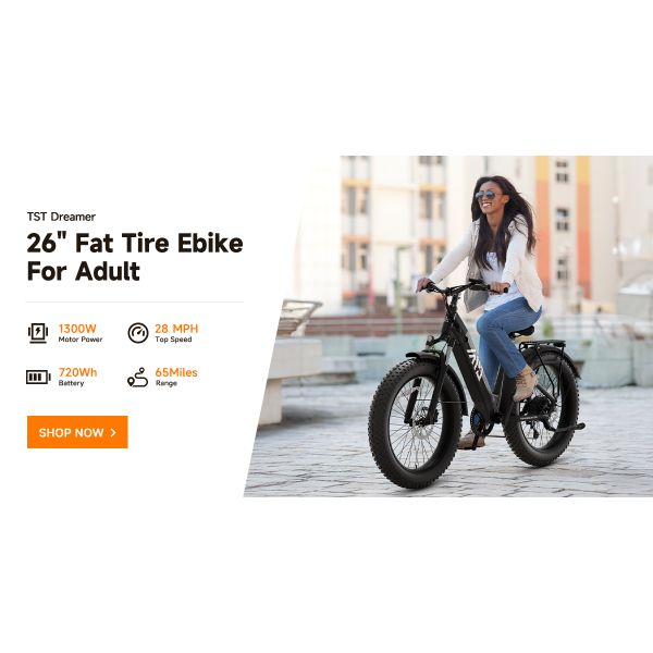 F622 48V Electric Hybrid Mountain Bike Steel Frame Electric Road Bike 7 Speed Rear Hub Motor Lithium Battery 1200W Brushless