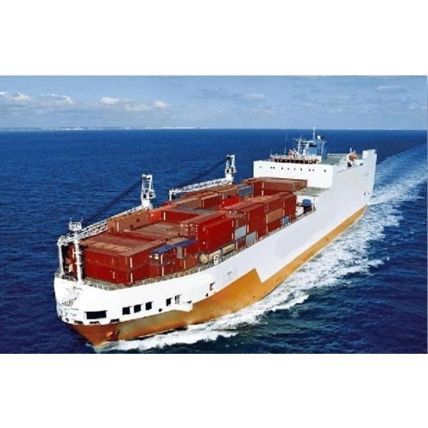Forwarder Door To Door Shipping Cargo Insurance Real time tracking