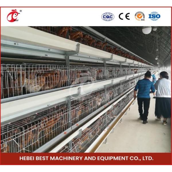High Density Poultry Farming Broiler Chicken Cage 112 Birds For Day Old Farm House Ada