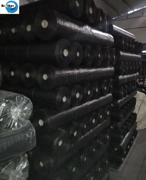PP/PE Ground Cover Weed Control Barrier Mat, Woven Weed Cloth Weed Fabric New Material or Reycled Material, Geotextile