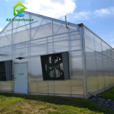Подгонянный парник сада листа ПК Hydroponic для салата