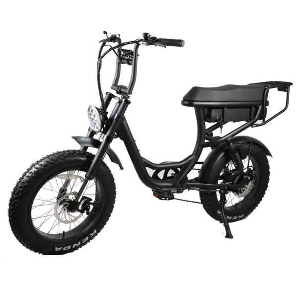 Rear Hub Motor Braking System 20 Inch 1000w High Power Electric Fatbike for Adults