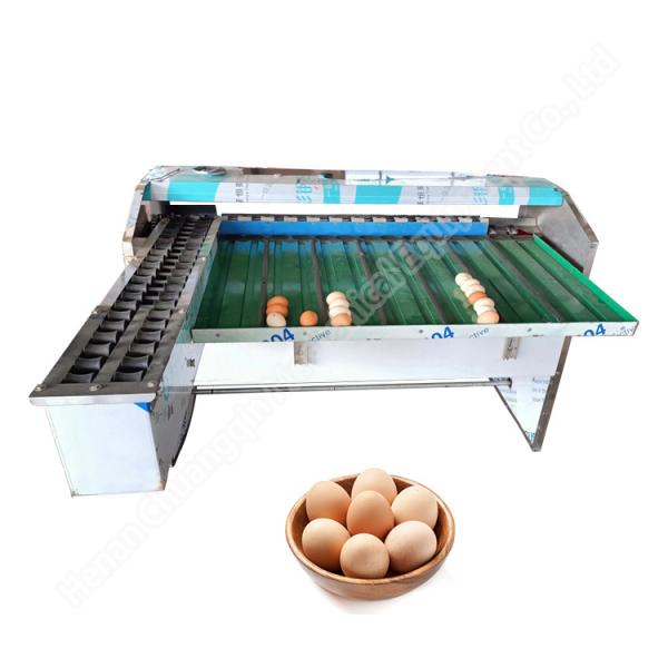 Automatic Egg Grader Machine Egg Grading Machine Sorter Egg Weight Sorter Production Line