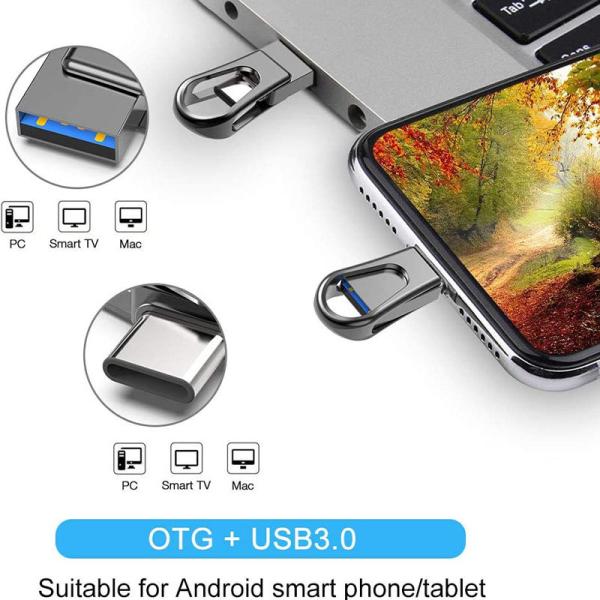 Тип вспышка металла USB C OTG управляет 2,0 одобренными 128GB 256GB ROHS