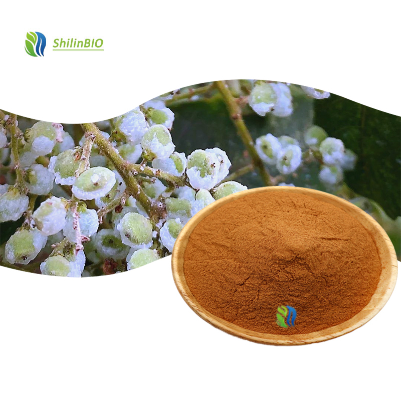 HIgh Quality 10::1 20::1 Rhus Chinensis Mill. Extract Powder ISO/HACCP