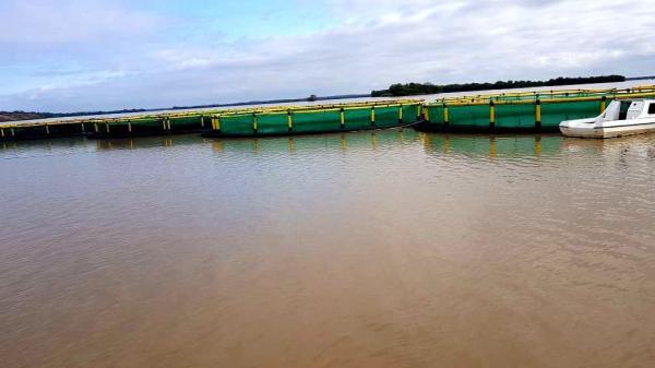 Lake Freshwater Tilapia Farming HDPE Fish Cage Square with Floating Pipe 200mm/250mm/315mm/350mm/400mm/450mm/500mm