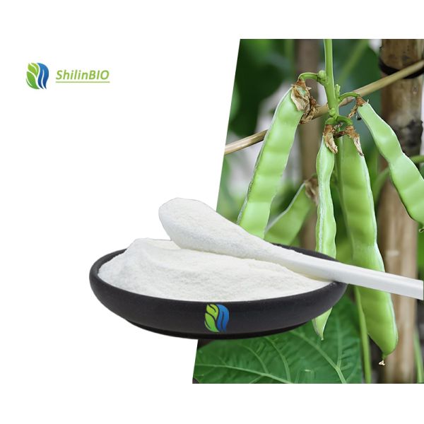 Gomme de guar hydrolysée de qualité cosmétique/alimentaire CAS 9000-30-0, poudre de gomme de guar en vrac