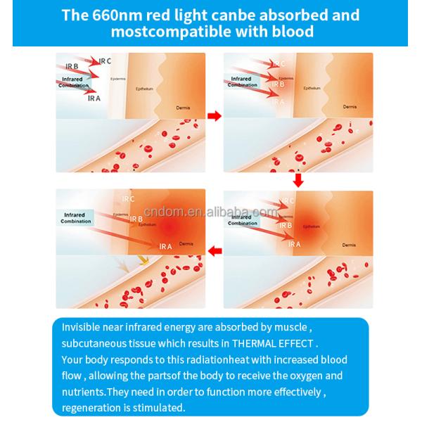 360pcsLED DIP Red Light Therapy Panel for Full Body Relief US Plugs Type Docking 110-240