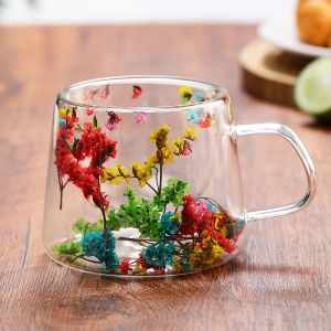 High Borosilicate Glass Cup Double Wall Dry Flower Glass Coffee Mug Heat Resistant