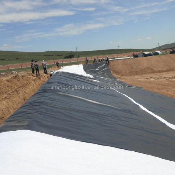 Versatile HDPE Material for Roof Garden and Shrimp Pond Protection Customizable Length