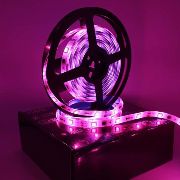Luzes de tira do diodo emissor de luz de DC12V 36W 5M Dreamcolor