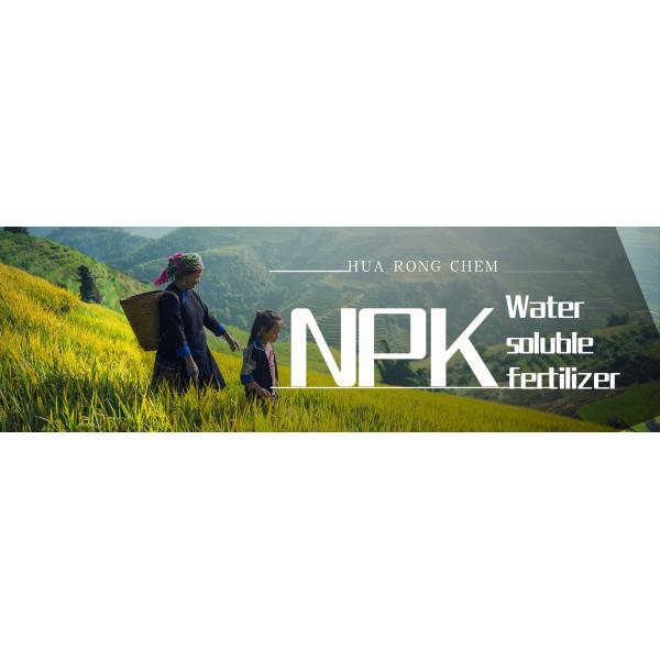 Yellow High Nitrogen Compound NPK Water Soluble Fertilizers 30 10 10 TE For Vegetables