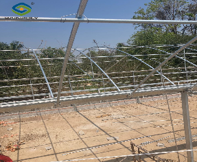 Single Span Black Out Greenhouse Light Deprivation Single Arch Tunnel Greenhouse