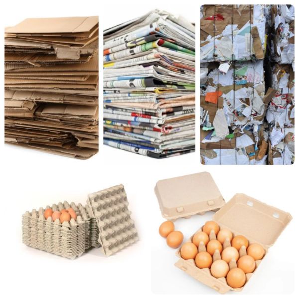 Customized Paper Pulp Tray Making Machine Molded Pulp Packaging Production Line