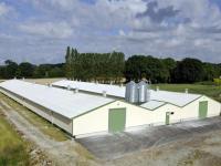 XDEM Steel Structure Warehouse Production Workshop Chicken And Poultry Farm
