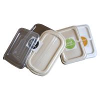 Caixa de armazenamento feita sob encomenda da celulose do trigo do bagaço, bandeja sensorial biodegradável