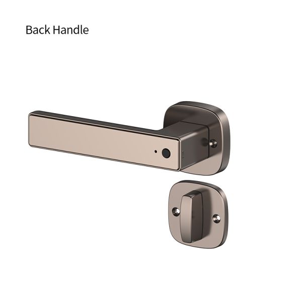 Tuya Smart Lock Fingerprint Electronic Keypad Entry Aluminum Alloy Royal Gold Color Durable Auto-locked Door Handle Smart