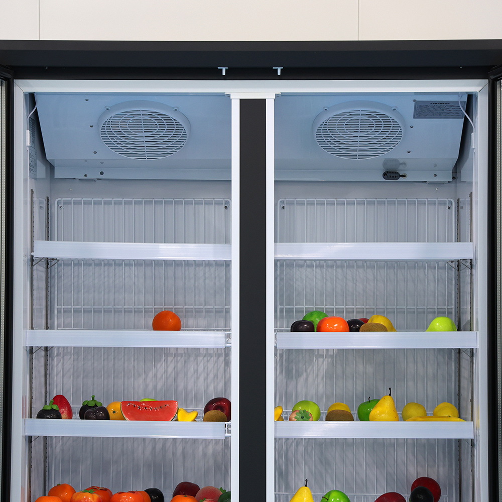 1600 Liter Display Glass Door Freezer Compact Air Cooled Freezer