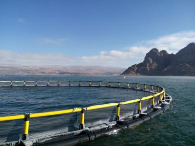 Aquaculture Traps Floating Fish Farming Cage 30-90cm Diameter and Delivery Detail Two Weeks After Receiving Deposit