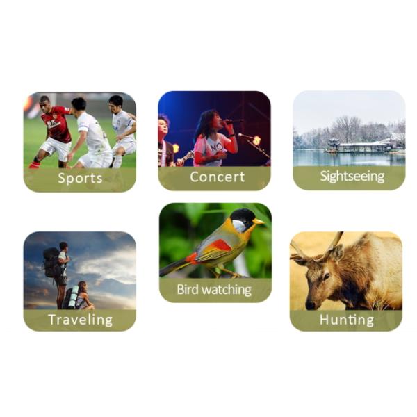 полностью Multi покрытые бинокли просмотра птицы 10X 42 выдвигают небольшое для перемещения