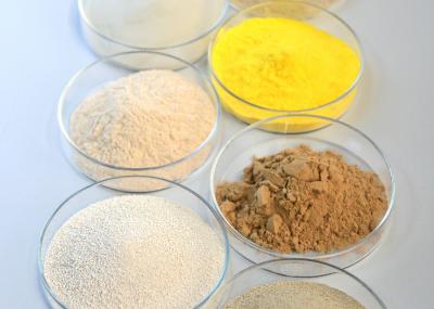 Besthway Enzima Especializada de Betelnut de Grau Alimentar